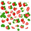 Set of vector illustrations Wild Strawberry