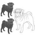 Set of vector images of pug. EPS10 Royalty Free Stock Photo