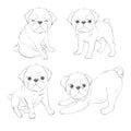 Set of vector images of pug. Isolated objects on a white background. Royalty Free Stock Photo