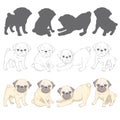 Set of vector images of pug. Isolated objects on a white background. Royalty Free Stock Photo