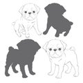 Set of vector images of pug. Isolated objects on a white background. Royalty Free Stock Photo