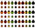 A set of Vector Insect Icons : ladybird