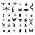 Set of vector insects