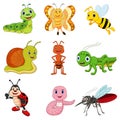 Set of vector insects Royalty Free Stock Photo