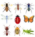 Set of vector insects
