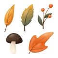 Set of vector isolated autumn elements. Fallen dry orange leaves of trees, a forest mushroom and a twig with berries Royalty Free Stock Photo