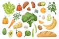 Big set of vector isolated realistic food illustrations. Fresh healthy vegetables and fruits, raw herbs, bread, cheese and egg Royalty Free Stock Photo