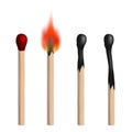 Set of vector isolated realistic matches. Royalty Free Stock Photo
