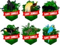 Set of vector jungle rainforest emblems with black panther, Griffon vulture, channel-billed toucan, Bird of Paradise, parrot