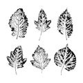 Set of vector Leaf imprints