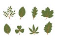 Set of vector leaf shapes