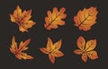 set of vector leaves with gradient and shadow