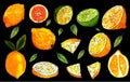 Set of vector lemons, leaves, cut lemon, slices of lemons, sliced lime, whole lemon, collection of lemons