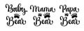 Set of vector lettering phrases for bear themed family look events. Papa Bear, Mama Bear, Baby Bear - calligraphy inscriptions Royalty Free Stock Photo