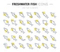 Set Vector Line Icons of Freshwater Fish Royalty Free Stock Photo