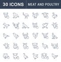 Set Vector Line Icons of Meat and Poultry. Royalty Free Stock Photo