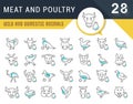 Set Vector Line Icons of Meat and Poultry. Royalty Free Stock Photo