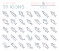 Set Vector Line Icons of Freshwater Fish Royalty Free Stock Photo