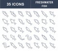 Set Vector Line Icons of Freshwater Fish