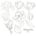 Set of vector line magnolia flowers on white background. Collection of blooming floral for wedding, marriage
