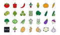 Set of vector linear color icons. Vegetables. Contour, shape, outline isolated on white. Thin line. Modern design Royalty Free Stock Photo