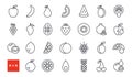 Set of vector linear icons. Fruits and berries. Contour, shape, outline. Thin line. Modern minimalistic design. Healthy