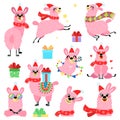 Set of vector llamas in Christmas red hat.