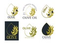 Set of vector logos of olive branch with leaves and drops. Modern hand drawn vector olive oil icons. Branding concept for olive Royalty Free Stock Photo