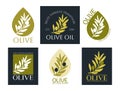 Set of vector logos of olive branch with leaves and drops. Modern hand drawn vector olive oil icons. Branding concept for olive Royalty Free Stock Photo