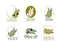 Set of vector logos of olive branch with leaves. Modern hand drawn vector olive oil icons. Branding concept for olive oil company Royalty Free Stock Photo