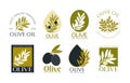 Set of vector logos of olive branch, tree, leaves and drops. Modern hand drawn vector olive oil icons. Branding concept for olive Royalty Free Stock Photo