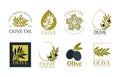 Set of vector logos of olive branch, tree, leaves and drops. Modern hand drawn vector olive oil icons. Branding concept for olive Royalty Free Stock Photo