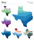 Set of vector maps of Texas. Royalty Free Stock Photo