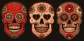Set of vector Mexican sugar skulls with floral element