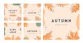 Set of vector minimal cards with abstract shapes, pumpkin and autumnal leaves. Autumn sale trendy post templates for Royalty Free Stock Photo