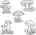 Coloring book. Set of vector mushrooms. Porcini, king trumpet, honey agaric, fly agaric, mushroom chanterelle