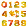 Set of vector numbers made from autumn leaves