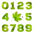 Set of vector numbers made from green leaves Royalty Free Stock Photo