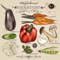 Set of vector old-fashioned vegetables and foodstuffs for design