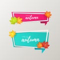 Set of vector origami paper style banners with autumn leaves. Autumn sale . Web banner or poster for e-commerce, on-line Royalty Free Stock Photo