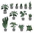 Set of vector ornamental plant pot