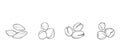 Set of vector outline icons - nuts. Hazelnuts, pistachios, almonds. Royalty Free Stock Photo