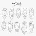 Set of vector owls, line art Royalty Free Stock Photo