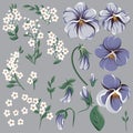 Set for creating floral frame with viola flowers