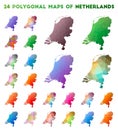 Set of vector polygonal maps of Netherlands.
