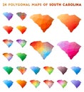 Set of vector polygonal maps of South Carolina.