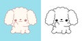 Set Vector Poodle Dog Multicolored and Black and White. Kawaii Clip Art Pet.