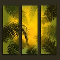 Set of vector posters with tropical background. Set of posters with abstract elements of tropical leaves and bright sun Royalty Free Stock Photo