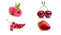 Set of vector realistic berries isolated on white background. Strawberry, raspberry, cherry, and redcurrant. Forest berry. Sweet Royalty Free Stock Photo