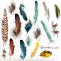 Set of vector realistic colorful feathers Royalty Free Stock Photo
